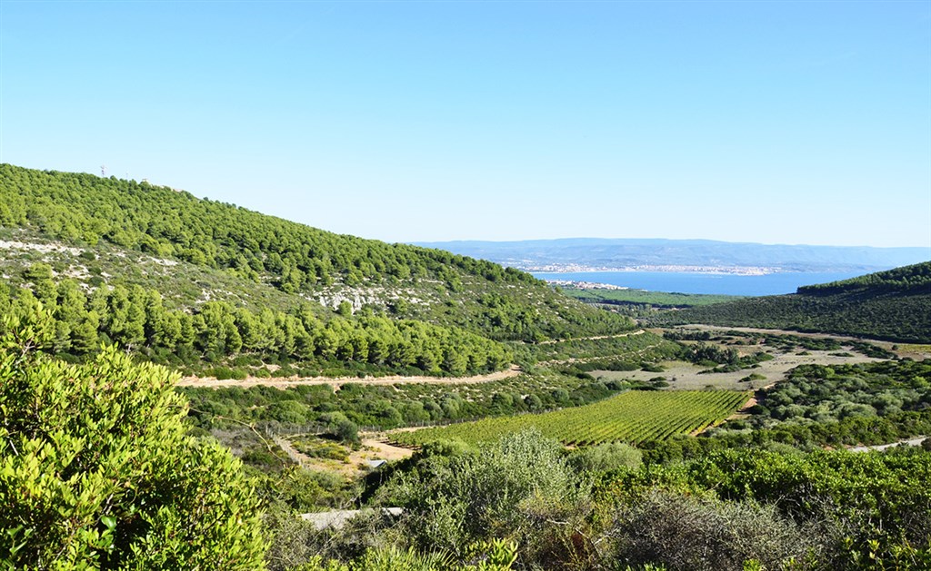 Park Porto Conte, Alghero, Sardinie, Itálie