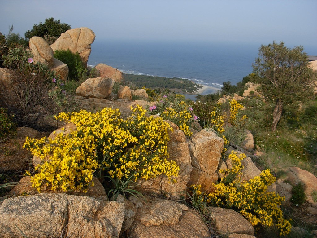 Monte Urcatu, Sardinie