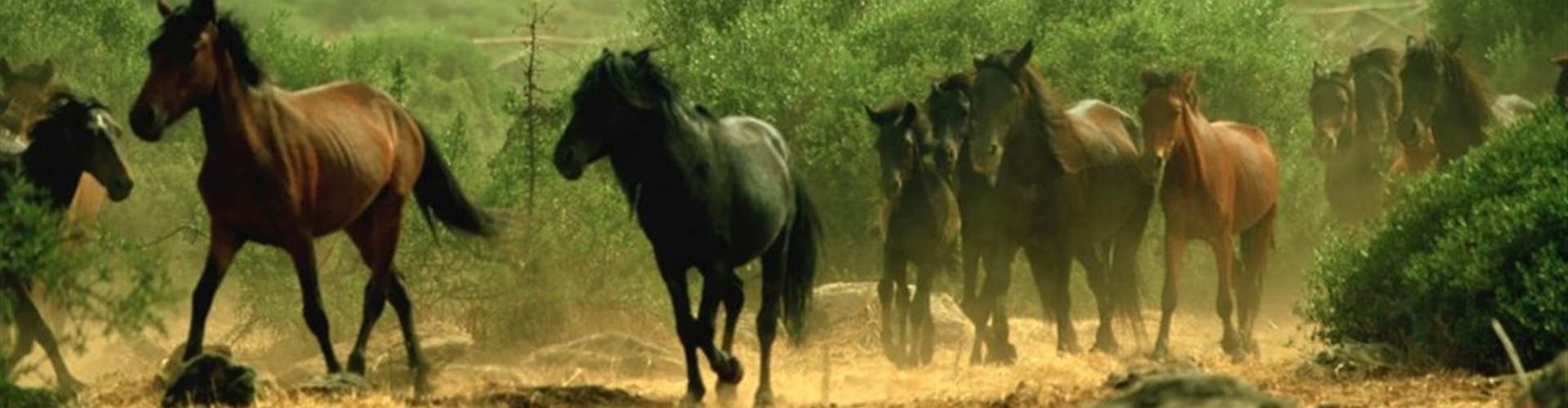 Barumini a Giara di Gesturi