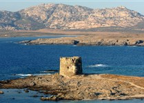 Ostrov Asinara