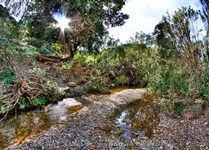 Stříbrná cesta, Burcei, Sardinie