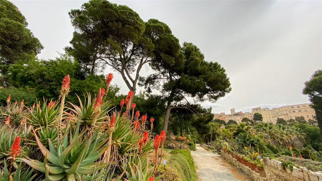 Botanická zahrada, Cagliari, Sardinie