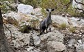 Pilates a výlety za poznáním východního pobřeží s Petrou - Trekking, Santa Maria Navarrese, Sardinie