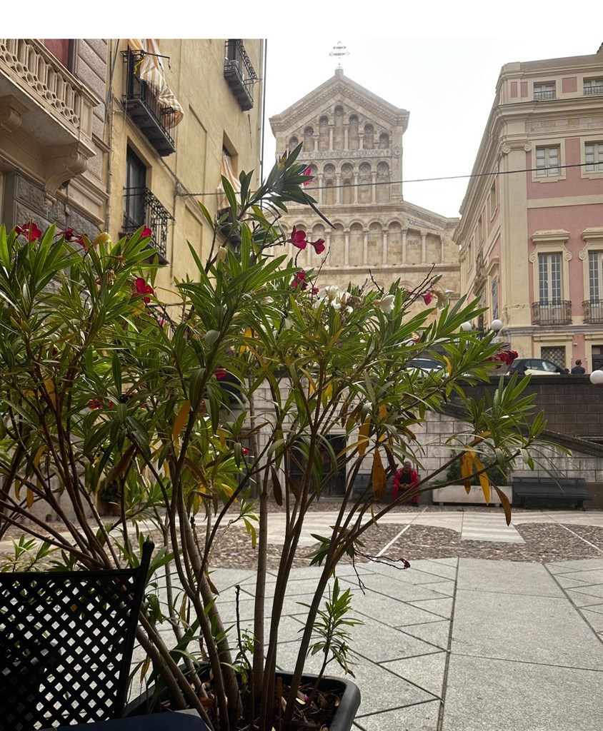 Piazza Carlo Alberto, Cagliari