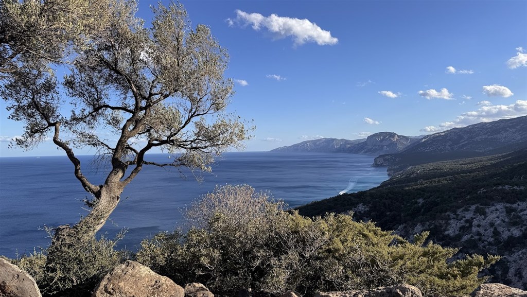 Trekking a cvičení s Petrou Weigeltovou