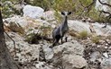 Pilates a trekking po východním pobřeží s Katkou - Kozí stezka, Santa Maria Navarrese, Sardinie