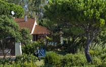 VILA MARTE - 