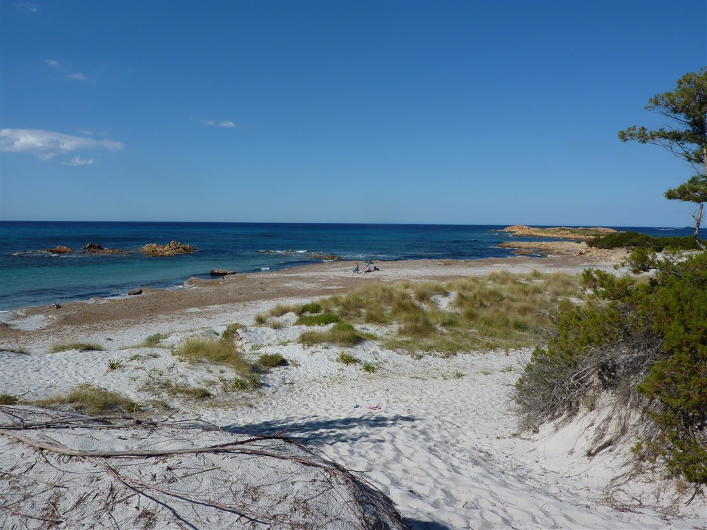 Spiaggia Capo Comino (fonte: wikipedia)