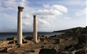 Pineta Is Arenas - Tharros